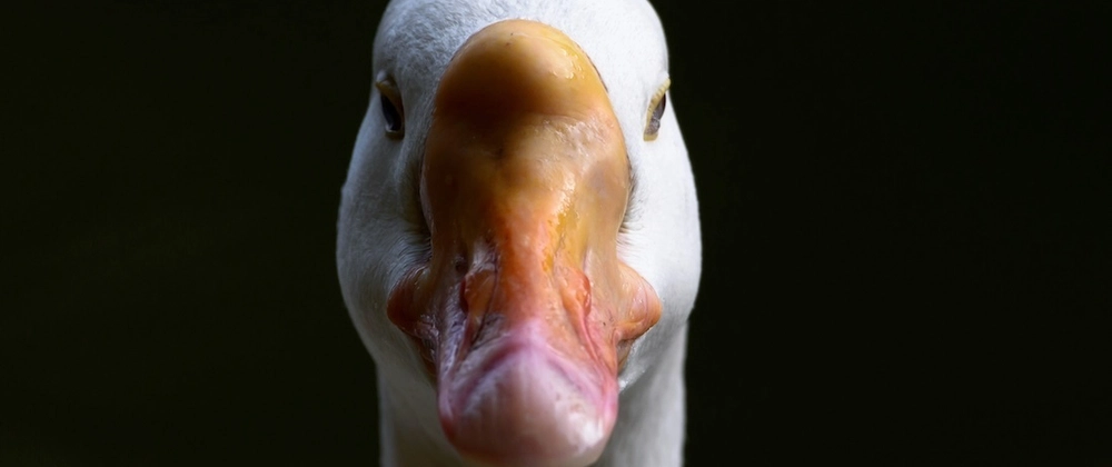 Advent of AI - Day 13: Goose Terminal Integration