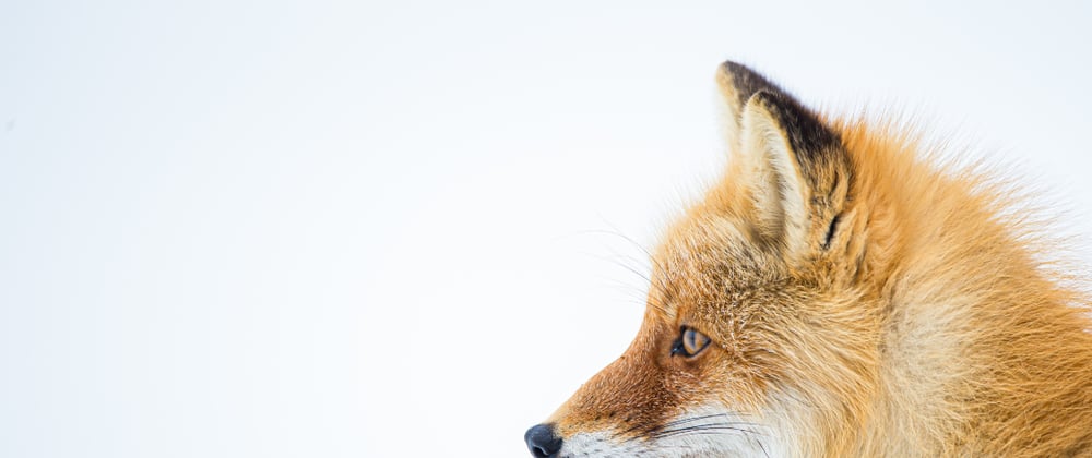How to debug a Firefox add-on (extension)