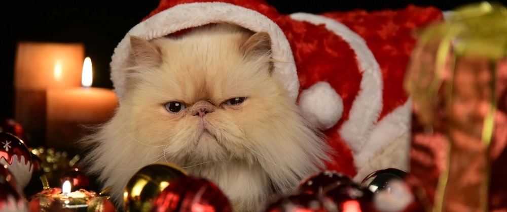 Advent of AI 2025 - Day 6: Automating GitHub Issue Triage with Goose