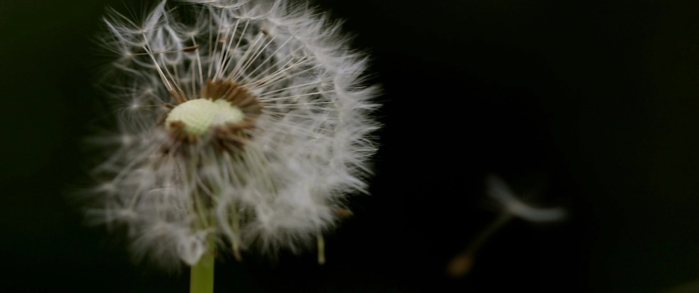 Advent of AI 2025 - Day 17: Building a Wishlist App with Goose and MCP-UI