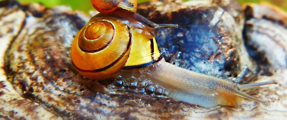 My Shell Aliases