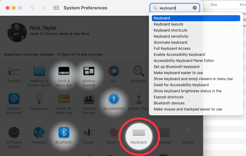 System preferences main panel in macOS